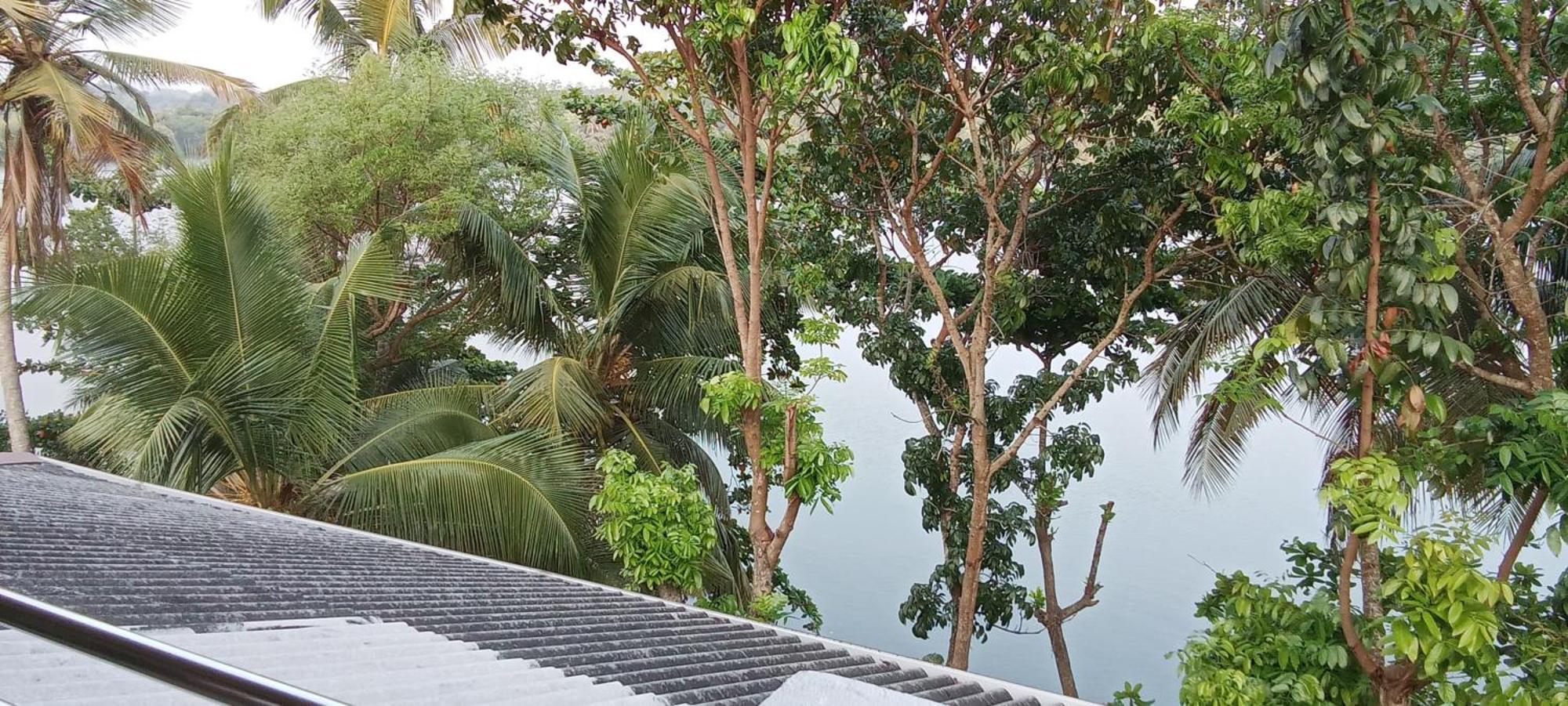 The Green Lagoon Villa 希克杜沃 外观 照片